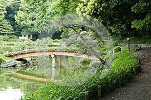 Footpath, bridge, Japanese pavilion building in garden