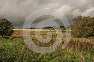 Footpath of the Cateran Trail between Blairgowrie and Bridge of Cally