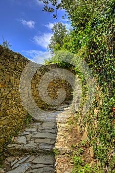 Footpath in Cinque Terre National Park
