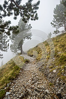 Footpath in Cloud E4 Mount Olympus Greece