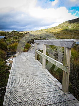 Footpath at Cradle Mountain, Tasmania. Taken during one of summer days in Australia