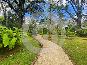 On the footpath cross the Lankester Botanical Gardens, Cartago, Costa Rica