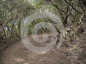 Footpath curve on Sendero de los Sentidos path od the senses in photo