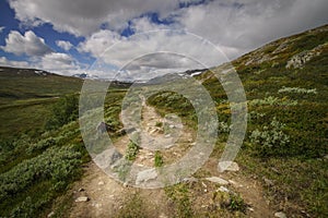 Footpath in Dovrefjell, Norway