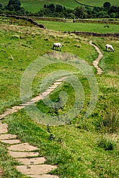 The footpath from Edale to Kinder Scout in the Peak District