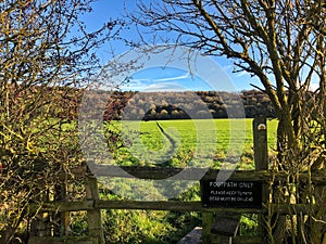Footpath with fence, stile, trees and fields in the English countryside