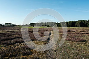 Footpath through the field in a nature reserve BrÃ¶sarps Backar in Sweden