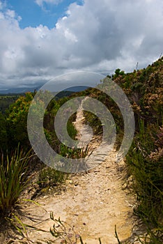 Footpath in Garden Route National Park, Tsitsikamma Section, Eastern Cape, South Africa