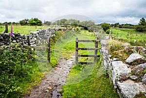 Footpath through a gate on Bodmin Moor