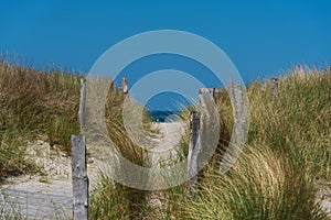 Footpath between grass covered dunes against sea and blue sky