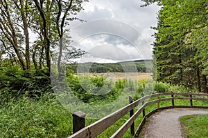 Footpath through Hafren Forest, Wales, with a stormy summer sky and view over lush countryside