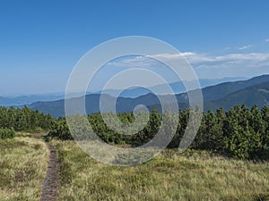 Chodník turistického chodníka z hrebeňa chopku s horskou lúkou, kosodrevinou a výhľadom na modrozelený hrebeň