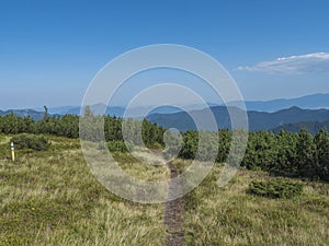 Footpath of hiking trail from Chopok ridge with mountain meadow, scrub pine and view of blue green hills ridge