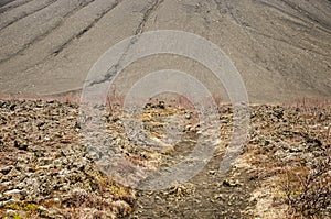 Footpath in an Icelandic lavafield