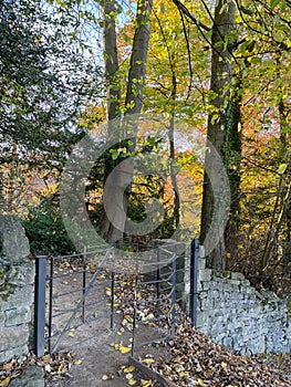 Footpath and kissing gate in a stone wall by woodland