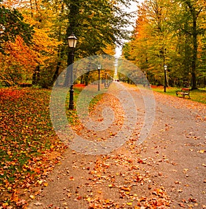 Footpath with lanterns and benches through colorful autumn park