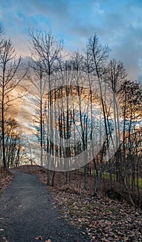 Footpath Leading to Beautiful Sunset Behind Woods