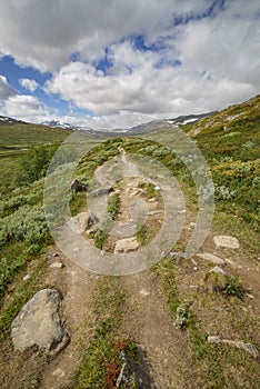 Footpath leading to Dovrefjell, Norway