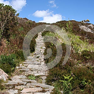 Footpath leading uphill photo