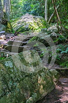 Footpath on Little Stony Creek, Jefferson National Forest, USA