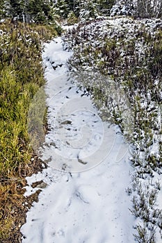 Footpath in Low Tatras mountains, Slovakia, winter scene