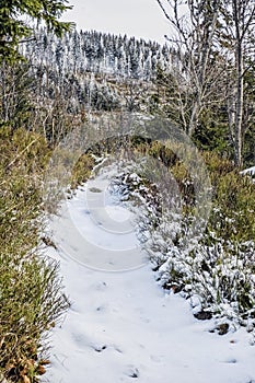 Footpath in Low Tatras mountains, Slovakia, winter scene