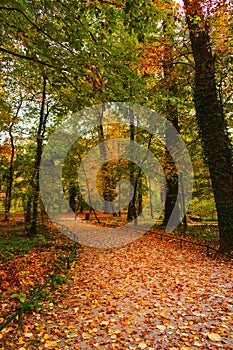 Footpath in Maksimir park in autumn, Zagreb, Croatia, Europe