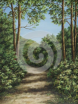 Footpath in mountain wood photo