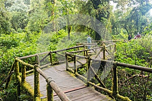 Footpath in Nature trail