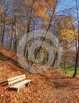 Footpath in Neandertal,Germany