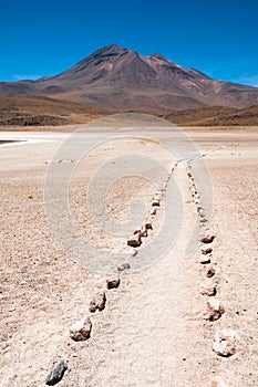 Footpath near Miscanti lagoon, Chile photo