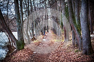 Footpath near pond in park