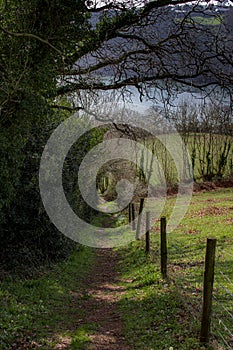 A footpath near to the River Dart