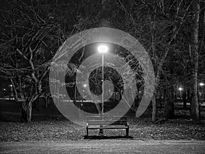 Footpath at night in the park. Alley in the park with light poles and benches. Black and white photography