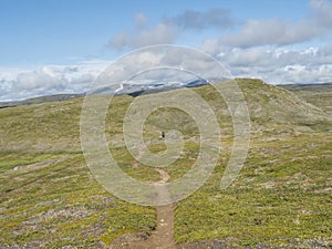 Footpath in northern artic landscape, tundra in Swedish Lapland with lonely hiker figure in distance, green hills and