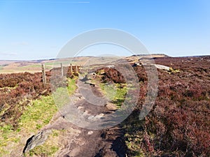 Footpath over Hathersage Moor to Higger Tor in the Derbyshire Peak District