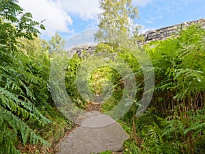 Footpath, overgrown by ferns leads up to Birchen Edge