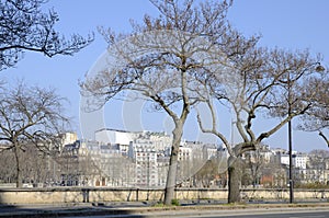 Footpath in Paris