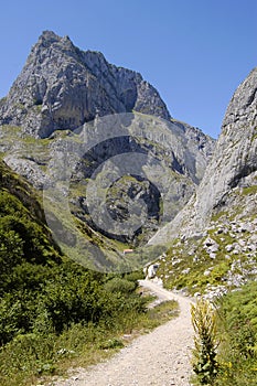 Footpath in the Picos de Europa mountains, Norther