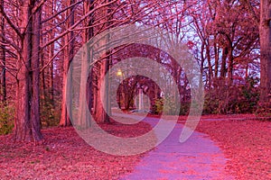 Footpath in Piedmont Park in beautiful twilight glow, Atlanta, USA