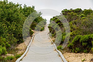 Footpath Through Sand Dunes Between Oso Flaco Lake and Ocean. Guadalupe-Nipomo Dunes National Wildlife Refuge, Califonia