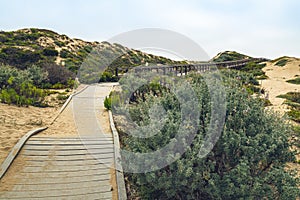 Footpath Through Sand Dunes Between Oso Flaco Lake and Ocean. Guadalupe-Nipomo Dunes National Wildlife Refuge, Califonia photo