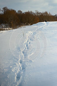 Footpath in a snowy meadow, on a cold winter day