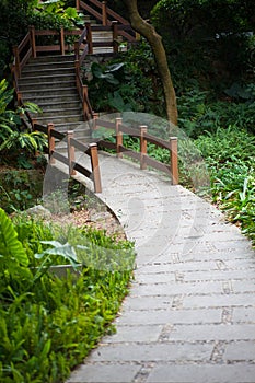 Footpath and steps