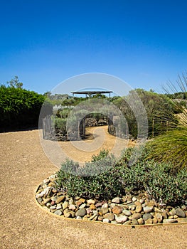 Footpath surrounded by lush garden plants against the vivid blue sky