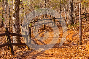 Footpath and thicket in Providence Canyon State Park, Georgia, USA