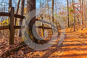 Footpath and thicket in Providence Canyon State Park, Georgia, USA