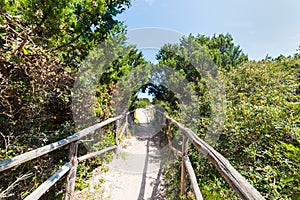 Footpath to the beach