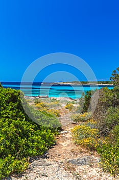 Footpath to the Coast of Menorca Island