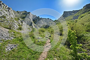 Footpath to the Piatra secuiului peak near Rimetea village.